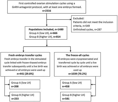 Low Serum LH Levels During Ovarian Stimulation With GnRH Antagonist Protocol Decrease the Live Birth Rate After Fresh Embryo Transfers but Have No Impact in Freeze-All Cycles